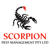 Scorpion Pest Management