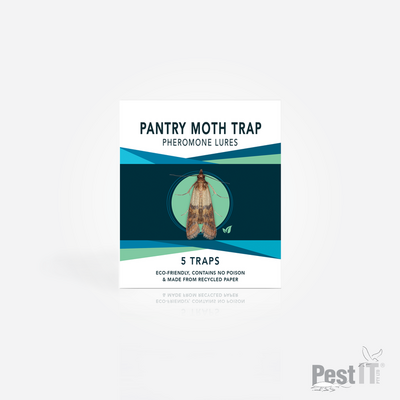 Viper Pantry Moth Trap (5 pack)