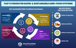 FAO’s Role, Efforts and Global Leadership in Ensuring Safe Food