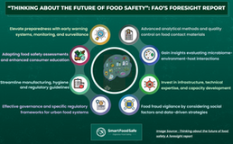 An Overview of the Recent FAO Foresight Report: “Thinking About the Future of Food Safety”