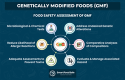 Maintaining Food Safety in Genetically Modified Foods