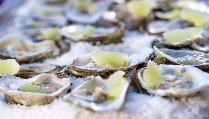 Raw oysters from South Australia recalled due to Vibrio infections